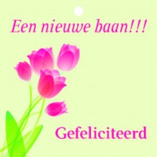 Nieuwe baan
